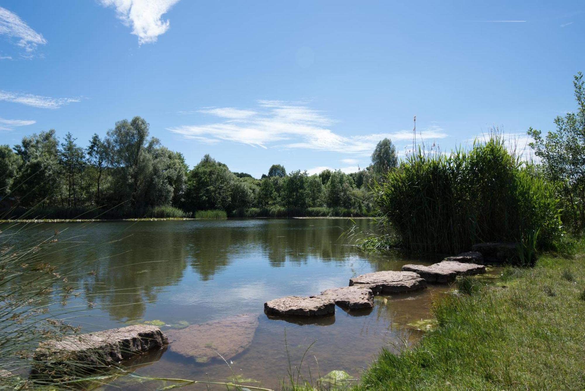 Holzhaus Onkel Fritz Mit Sauna Und Whirlwanne Esch  Esterno foto