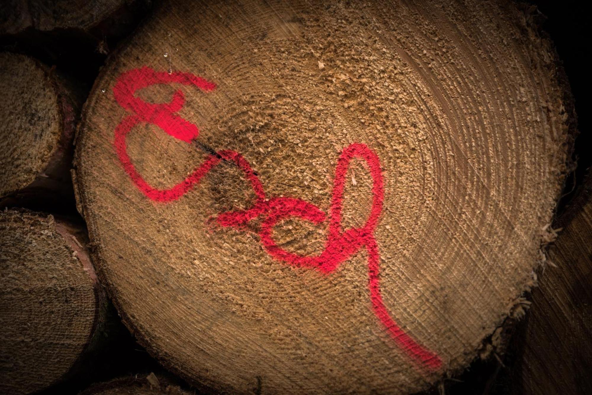 Holzhaus Onkel Fritz Mit Sauna Und Whirlwanne Esch  Esterno foto