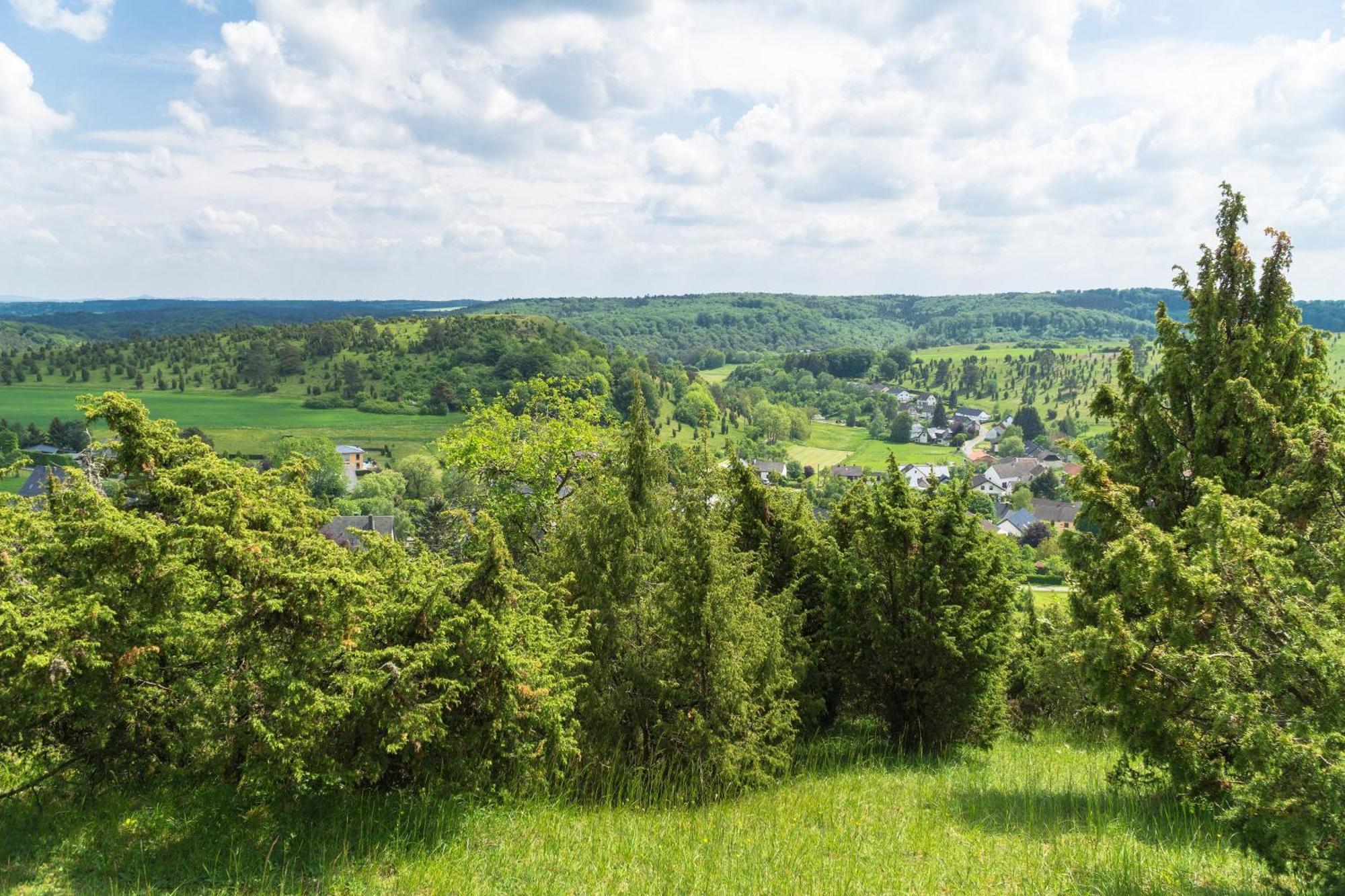 Holzhaus Onkel Fritz Mit Sauna Und Whirlwanne Esch  Esterno foto