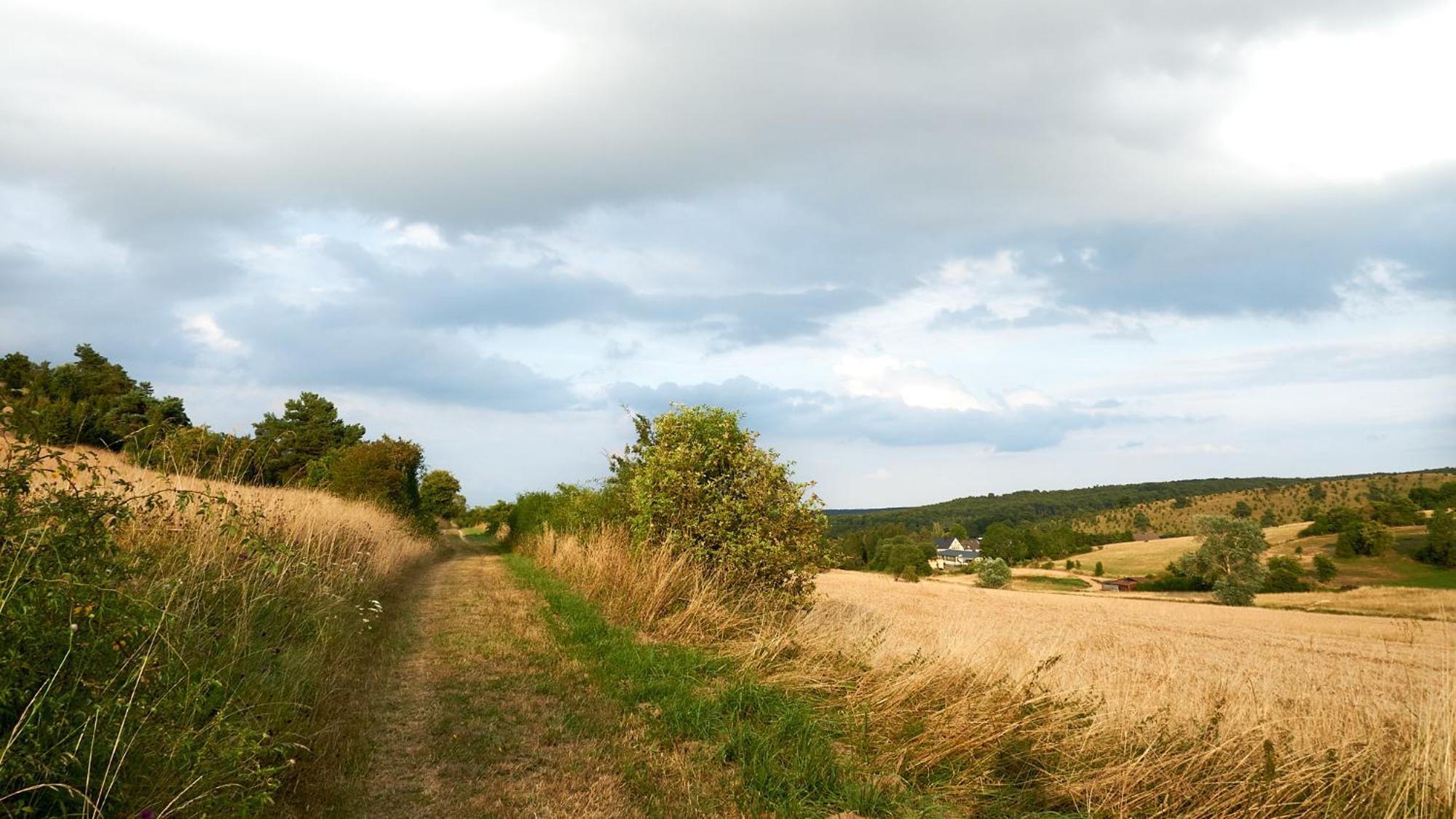 Holzhaus Onkel Fritz Mit Sauna Und Whirlwanne Esch  Esterno foto