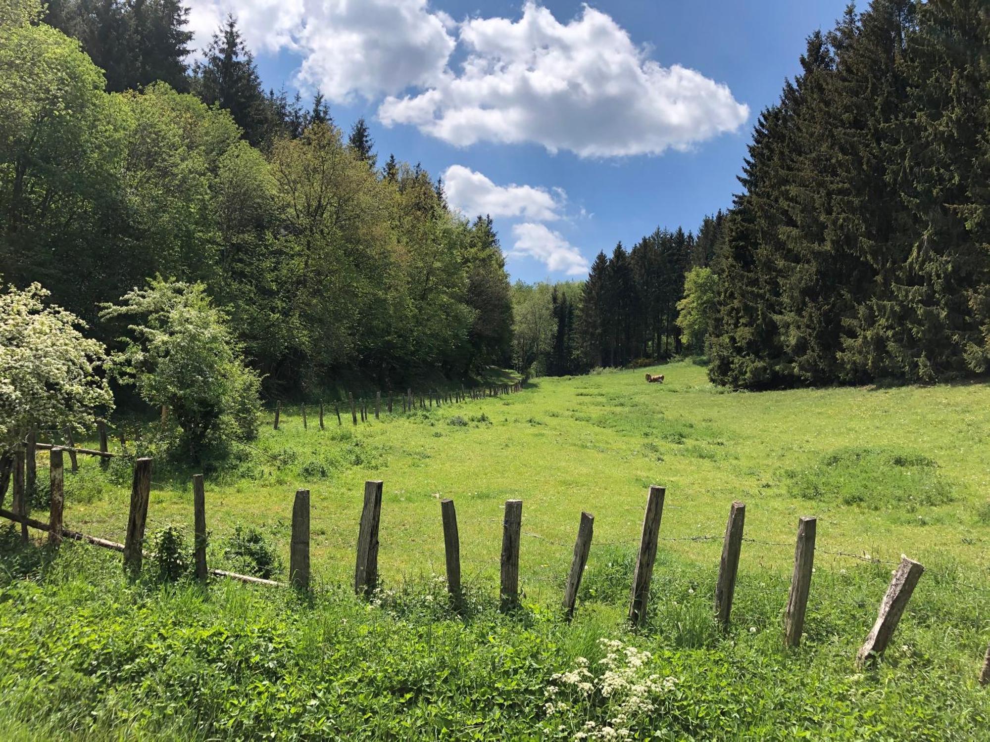 Holzhaus Onkel Fritz Mit Sauna Und Whirlwanne Esch  Esterno foto